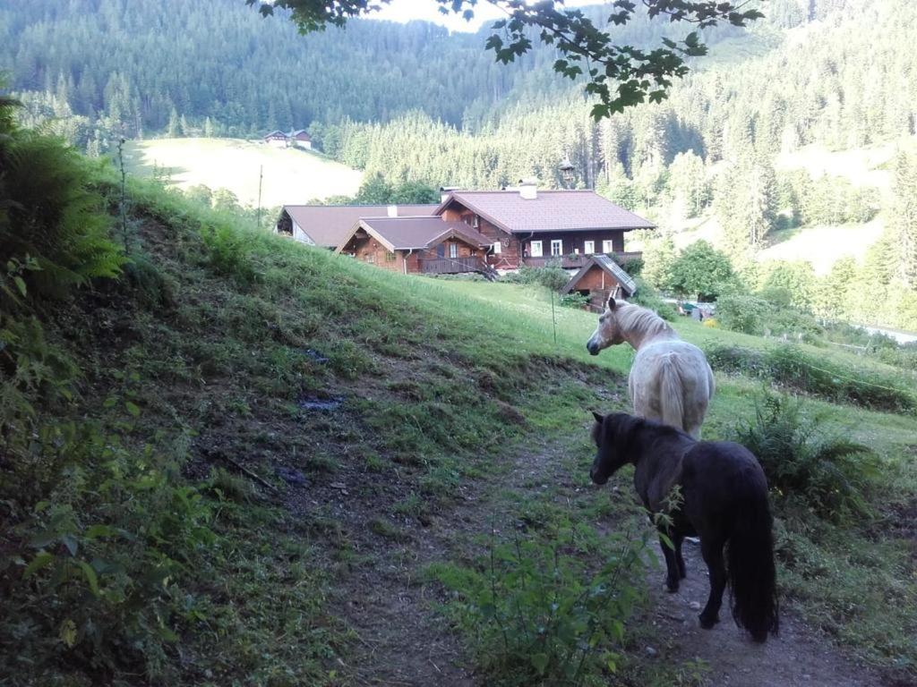 Neudegghof Apartment Eben Im Pongau Exterior foto