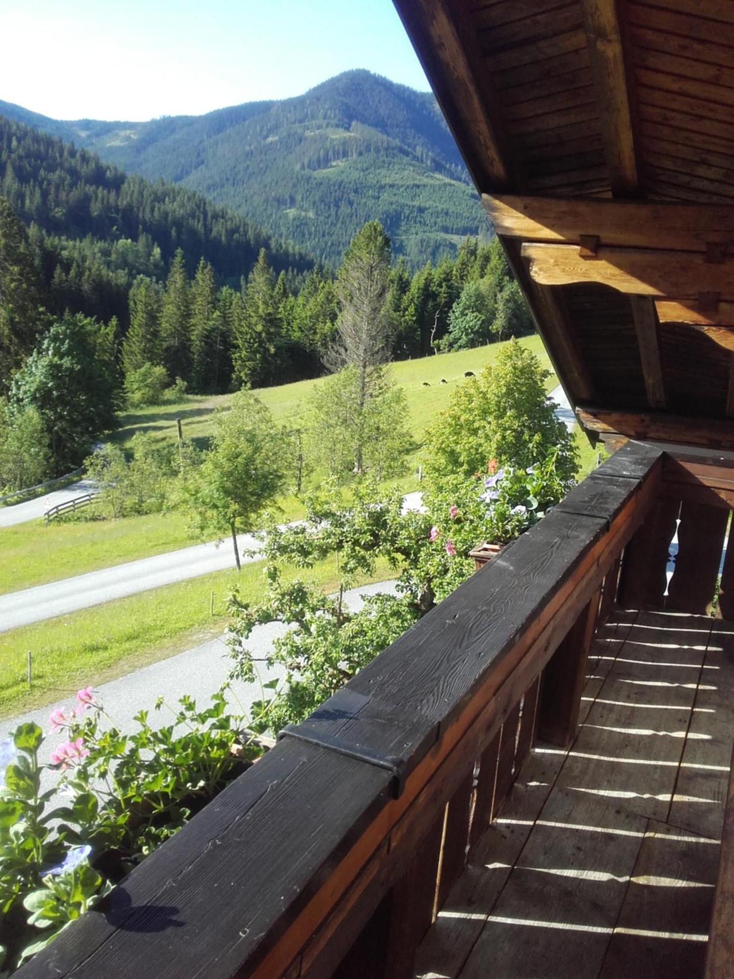 Neudegghof Apartment Eben Im Pongau Cameră foto