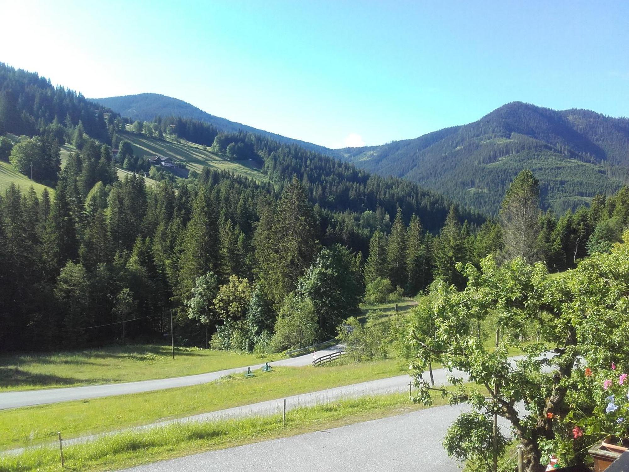 Neudegghof Apartment Eben Im Pongau Cameră foto